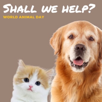 World Animal Day